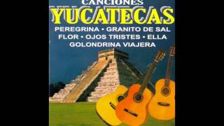 Trio Los Condes De Yucatan  Canciones Yucatecas Disco Completo [upl. by Sucitivel]