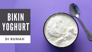 Cara Membuat Yogurt Sendiri Di Rumah DIJAMIN BERHASIL [upl. by Curzon]