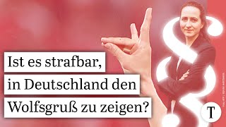 Graue Wölfe So könnte Wolfsgruß in Deutschland verboten werden  Em2024 Demiral gesperrt Recht [upl. by Kosak705]