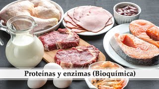 Proteínas y enzimas [upl. by Lyrehs928]