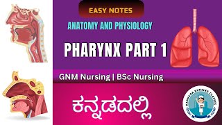 Anatomy and Physiology of Pharynx Part 1  Anatomy And Physiology In Kannada [upl. by Edualcnaej]