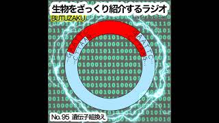 第95話：✉️「遺伝子組換え」をざっくり紹介 [upl. by Kubetz466]