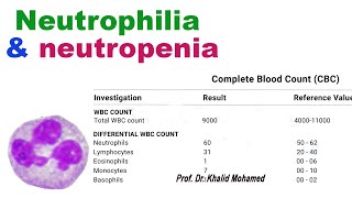 How is neutrophils count interpreted neutrophils leukocytes inflammation stress neutropenia [upl. by Nosydam324]