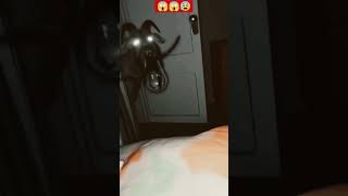 Bhoot😭😨☠️shortvideos YouTube shorts [upl. by Yelsel663]