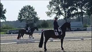 Riesenbeck 2023  FEI Dressage European Championship Warm up GP kür individual [upl. by Calderon]