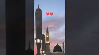 Modi ne ki galiyan madine ki rahen  beautiful naat short viral video 💕💕💕 [upl. by Winni865]