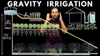 How Gravity Irrigation Works [upl. by Meghann]