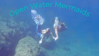 Mermaids Swimming on the South Florida Coast [upl. by Arundel]