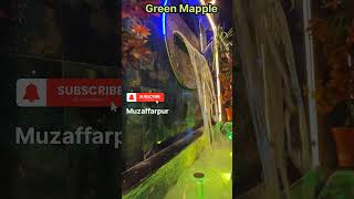 Green Mapple hotel green mapple muzaffarpur resort hotel muzaffarpur shortsshort viral [upl. by Eerehs532]