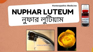 Nuphar Luteum  নুফার লুটিয়াম  Materia Medica  Learn Nuphar luteum easily [upl. by Marja903]