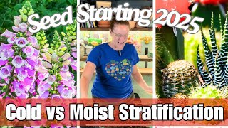 Do Your Seeds Need Cold Stratification 🌱  Seed Starting 2025  Starting Cactus and Foxglove [upl. by Ecniv]