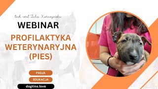 DARMOWY WEBINAR  profilaktyka weterynaryjna psy [upl. by Aecila]