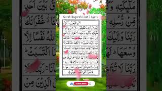 Surah Baqarah Last 2 Ayats Queen Recitation Shubhan Allah precious Voice youtube shoets [upl. by Pish]