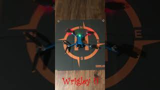 dji mini PRO 4 vs Wrigley II funny djiminipro4 beagle [upl. by Branden]