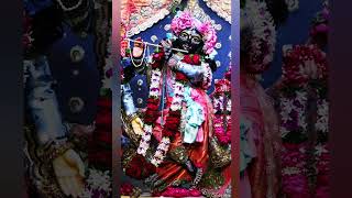 Itnatu karna swami 🙏jab pran tan se nikale 🌺🙏🌺trendingviralvideosorts reelssongradhakrishna [upl. by Starlin]