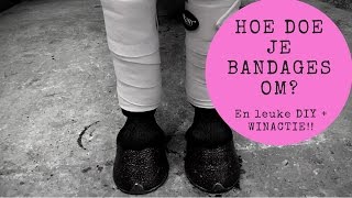 Hoe moet je bandageren En een leuke DIY JoanneNeidhoferHorses vlog27 [upl. by Huebner]