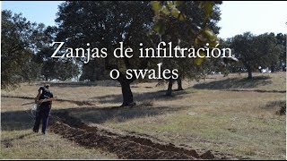 Swales zanjas infiltración Agricultura Regenerativa [upl. by Amalbena]