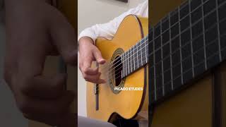 Picado ETUDES guitar flamencoguitar flamencoguitarist acousticguitar [upl. by Anatollo866]