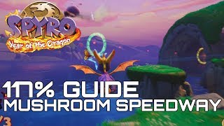 Spyro 3 Year Of The Dragon Reignited 117 Guide MUSHROOM SPEEDWAY ALL GEMS EGGS [upl. by Berenice]