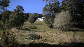 YOURS TO DISCOVER  Farm For Sale Northern Rivers NSW AUSTRALIA [upl. by Blakely]