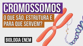 CROMOSSOMOS o que são estrutura e para que servem  Biologia para o Enem  Cláudia Souza Aguiar [upl. by Lempres957]