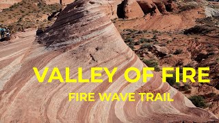 VALLEY OF FIRE STATE PARK NEVADA  FIRE WAVE TRAIL [upl. by Eanad]