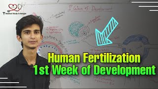 Human fertilization and 1st week of development in bangla [upl. by Anuala879]