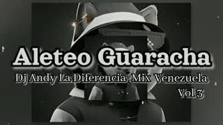 Mix Aleteo Guaracha Vol 3  Dj Andy la Diferencia [upl. by D'Arcy218]