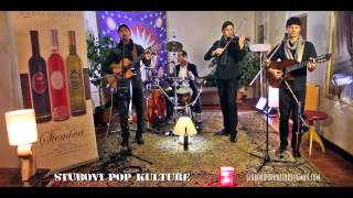 STUBOVI POP KULTURE  Apokalipso HD video [upl. by Pepin45]