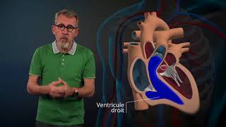 Le fonctionnement du cœur expliqué par Jamy [upl. by Haven]