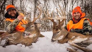 Epic Late Season Whitetail Hunting Below ZeroSnow DriftsHundreds of Deer [upl. by Yentuoc]