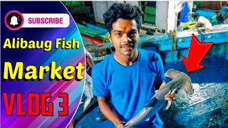 अलिबाग कोळीवाडा मच्छी मार्केट Alibaug fish market वैष्णवी बोटीची घेतली मुलाखत live fish auction [upl. by Obla139]