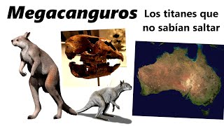 Megacanguros Descubre a los canguros gigantes que no sabían saltar [upl. by Bradlee]