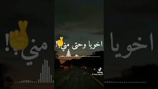 ٨ نوفمبر ٢٠٢٤ [upl. by Trin]