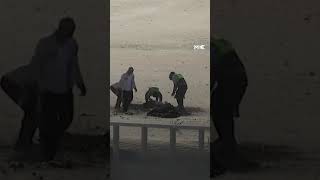 Israeli drone strikes Palestinian fishermen in Tyre Lebanon [upl. by Morgenthaler]