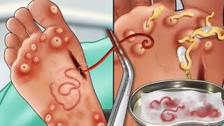 ASMR animation asmr animation asmrsounds asmrvideo asmranimation skincare coolasmr asmr [upl. by Ahsiekal149]