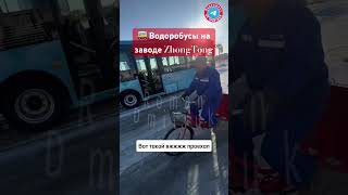 🚌 Водоробусы на заводе ZhongTong [upl. by Nylidam752]