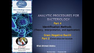 Gram Negative Bacilli Part 2  Enterobacteriaceae in Gram Negative Bacilli [upl. by Esiocnarf]