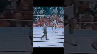 Muhammad Ali vs Chuck Wepner shorts [upl. by Kalli]