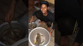 Chilika Crab 😋🥰🦀 shortsfeed ytshorts shorts odia odiashorts chilika seafood subscribe like [upl. by Grayce]