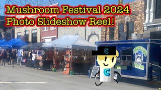 The Mushroom Festival Photo Slideshow Reel 2024 [upl. by Armilla]