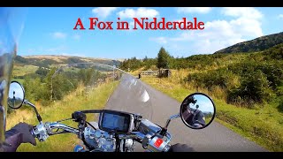 Honda VT750 Shadow Spirit A Fox in Nidderdale 30th August 2024 [upl. by Patt]