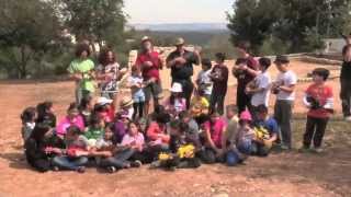 Ukuleles For Peace with Italian subtitles [upl. by Monteria627]