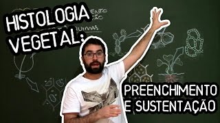 Parênquima Colênquima e Esclerênquima  Aula 13  Módulo V Botânica Prof Guilherme [upl. by Asi463]