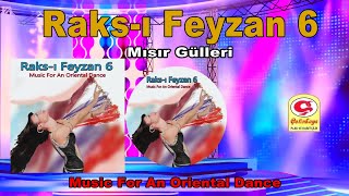 Raksı Feyzan 6  Mısır Gülleri  Official Video 2020  © Çetinkaya Plak [upl. by Aneeres]