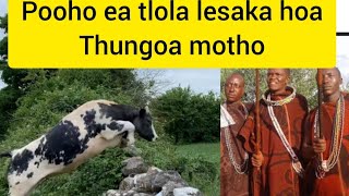 HO THUNGOA MOTHO HA POHO ETLOLA LESAKA [upl. by Kjersti292]