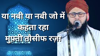 Maulana Tauseef Raza Misbahi Sambhali  या नबी या नबी मैं जो कहता रहा [upl. by Chuah]