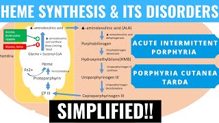 Heme Synthesis and its Disorders Acute Intermittent Porphyria Porphyria Cutanea Tarda  Panmedicad [upl. by Retsim]