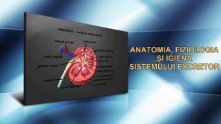 ANATOMIA FIZIOLOGIA ȘI IGIENA SISTEMULUI EXCRETOR [upl. by Rochemont926]