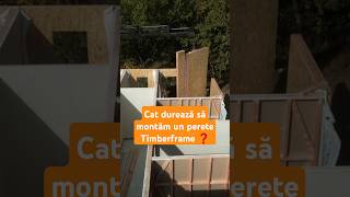 Cat de repede montezi un perete timberframe [upl. by Anattar]